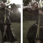 mad_800x566